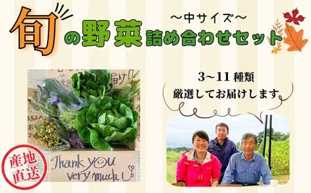 【期間限定】旬の野菜詰め合わせセット（中）(P-1.4)