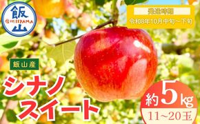 【先行予約丨2026年10月中旬より順次発送】シナノスイート【約5kg (11〜20玉)】(At-012)丨長野県 飯山市 おすすめ ランキング おいしい 高評価 大人気 先取り 産地直送 りんご