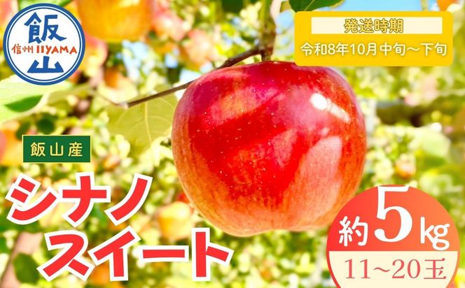 【先行予約丨2026年10月中旬より順次発送】シナノスイート【約5kg (11〜20玉)】(At-012)丨長野県 飯山市 おすすめ ランキング おいしい 高評価 大人気 先取り 産地直送 りんご
