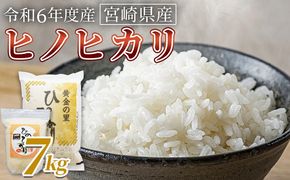 ＜宮崎県産米 ヒノヒカリ　7kg＞ 翌月末までに順次出荷【 コメ 米 お米 白米 ご飯 飯 炊き立て こめ ひのひかり 宮崎県 県産 粒 お茶碗 炊き込みご飯 おにぎり 主食 】 【b0168_su】