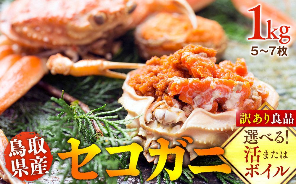 921.[ボイル]鳥取県産 セコガニ 訳あり良品 1kg(5〜7枚)[かに カニ 蟹 セコガニ]※2025/11/6〜2025/12/25に順次発送予定※着日指定不可 離島不可(北海道、沖縄本島は配送可能) 313726_AL001VC02