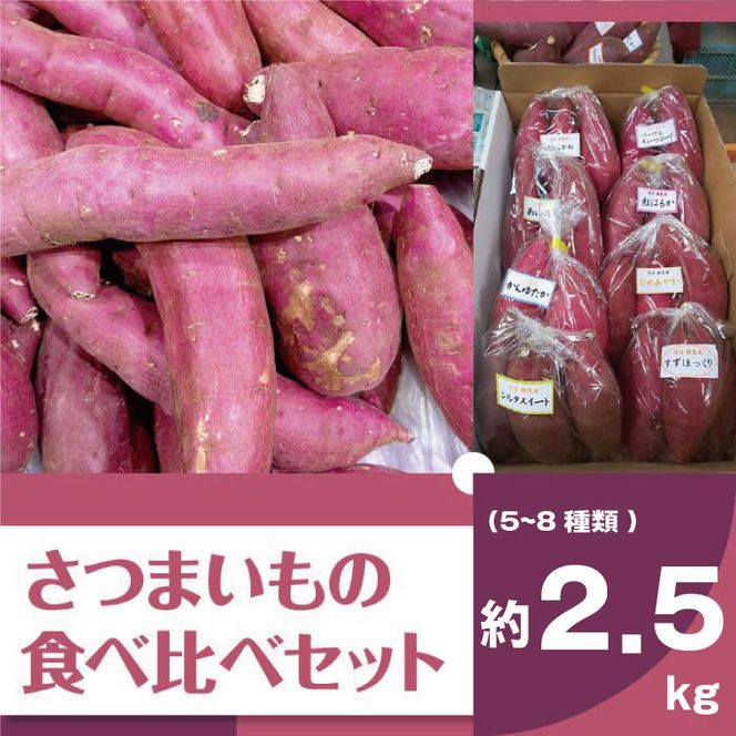 【2025年11月より順次発送】2025年度産 いろんなさつまいも食べ比べセット 約2.5kg(5～8品種)|さつまいも サツマイモ いも 芋 食べ比べ 茨城県 行方市（BZ-16）