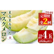 【0432209b】＜定期便・全2回(2月・4月)＞まるまる育ったマスクメロン(2玉×2回・計6.6kg以上) マスクメロン フルーツ 果物 果実 6キロ 数量限定 期間限定【まる美園芸組合】