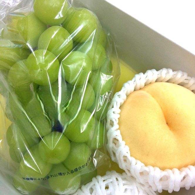 岡山県産 フルーツセット(シャインマスカット1房・白桃1玉)  果物 フルーツ 詰め合わせ ぶどう ブドウ 葡萄 シャインマスカット 桃 白桃 国産