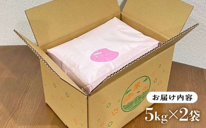 いとし米 厳選夢つくし 10kg糸島市 / 三島商店 [AIM044] 米 白米