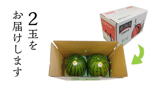【 JA北つくば 】 こだますいか 「 スウィートキッズ 」 2玉 2026年産 スイカ 果物 フルーツ [AE005ci]