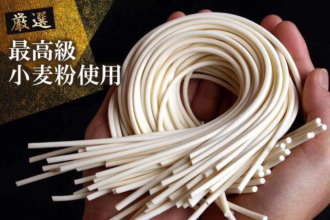 ふっくらモチモチ神埼生うどん 10袋入【麺 うどん 生うどん 釜揚げうどん】(H014145)