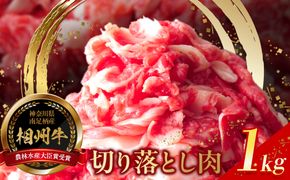 【寄附額見直しました！】小田原 中川食肉おすすめ　かながわブランド　相州切り落とし肉1kg【相州牛 かながわブランド ブランド牛 ブランド牛肉 神奈川特産品 安心安全な銘柄牛 たっぷり使える1kg 相州切り落とし肉1kg 神奈川県 小田原市 】 142069_BF002