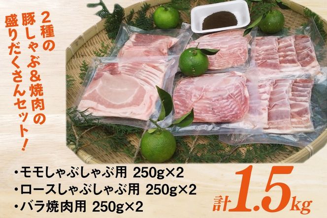 【宮崎ブランドポーク】へべす豚 焼肉 (バラ) & 豚しゃぶ (モモ・ロース) 計1.5kg [JAみやざき 日向肉豚部会 宮崎県 日向市 452061386] 肉 豚肉 モモ バラ ロース BBQ しゃぶしゃぶ