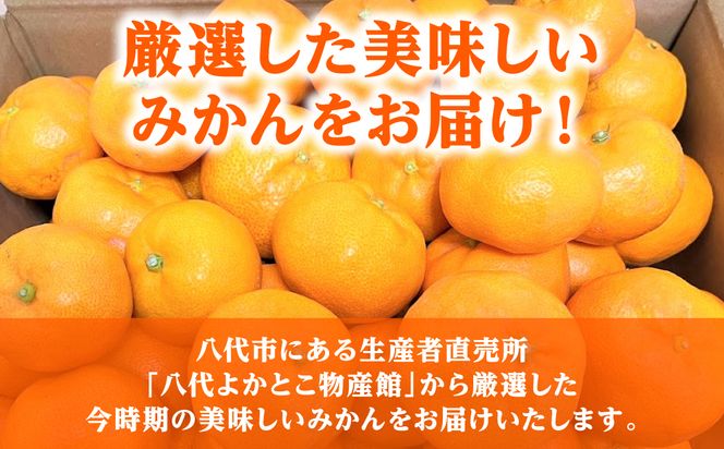 【先行予約】【訳あり】熊本県八代市産 ご家庭用みかん 約5kg 家庭用 蜜柑 ミカン 柑橘 くだもの 果物 デザート おやつ 熊本県 八代市 【2026年9月下旬より順次発送】
