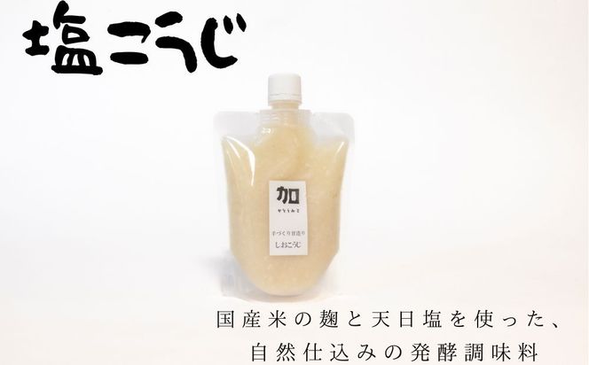 【加藤みそ】塩こうじ2個セット [ 京都 老舗 西陣 調味料 甘口みそ 人気 おすすめ 発酵食品 おいしい グルメ ギフト プレゼント お取り寄せ 通販 送料無料 ふるさと納税 ] 261009_B-XM02