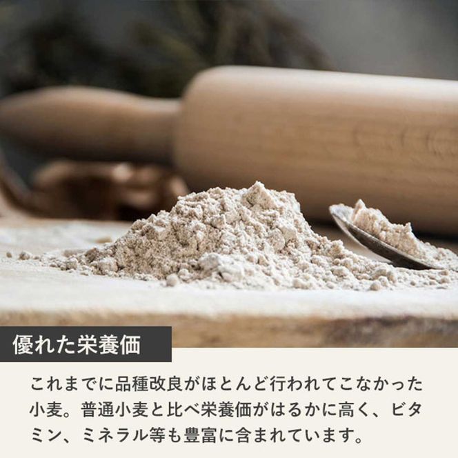 【毎月定期便】北海道産 スペルト小麦全粒粉 ディンケルスター 10kg 全2回 MROBI023