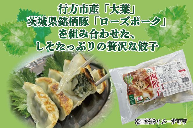 AE-50　【ローズポーク使用】JA・れんこんまん（4個）＋しそたっぷり肉餃子（30個）セット