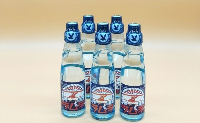 『ひみつ基地ミュージアム』人吉海軍 グルメセット（カレー 5食・ラムネ 5本） 加工食品 惣菜 レトルト 飲料類 炭酸飲料 