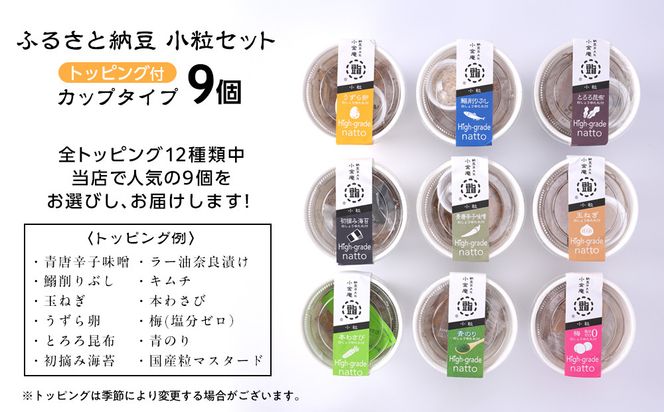 ふるさと納豆　カップタイプ9個　 小粒セット(カップ納豆9個）＜納豆BAR小金庵＞ 272183_BR34VC02