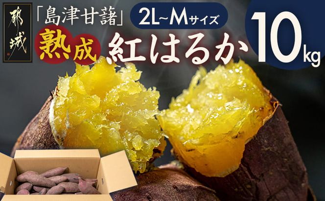 島津甘藷　熟成紅はるか 10kg(2L～M)_A7-001-10kg 島津甘藷 紅はるか 10kg サツマイモ 熟成 未選別 2L～M さつまいも 熟成 芋 定番 焼き芋 アウトドア