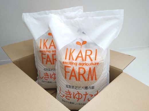 【新米】令和8年産　すっごいもちもち 「しきゆたか」 白米【10kg(5kg×2袋)】【C004W2】（滋賀県　近江八幡市）