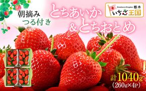 【先行予約】いちご あいか×おとめハーフ＆ハーフ 4パック ※2027年2月～発送