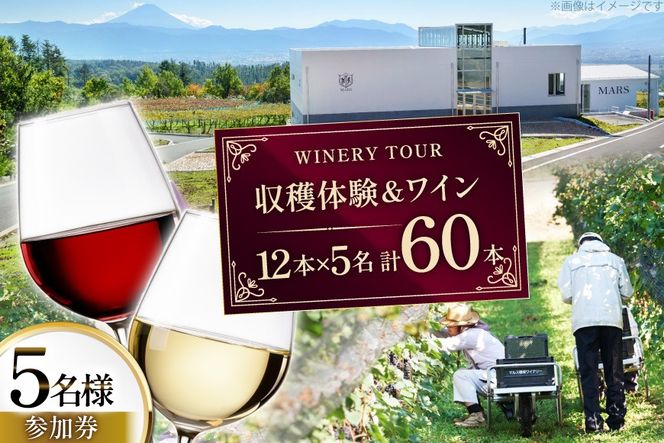 ワイン 収穫体験＆ワインセット 12本×5名 計60本 5名様 参加券 ワイナリー [本坊酒造マルス穂坂ワイナリー 山梨県 韮崎市 20745172]