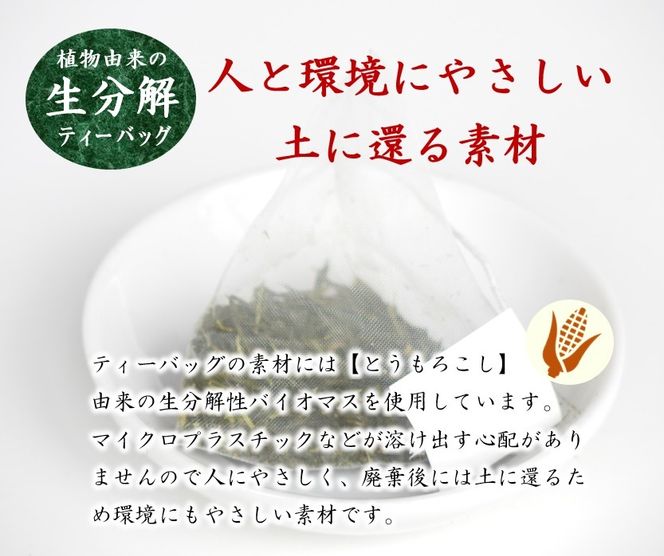 煎茶 ティーバッグ 6袋 セット 有機 オーガニック 岡部茶 お茶 静岡 茶葉 日本茶 静岡県 藤枝市[123593-X2]
