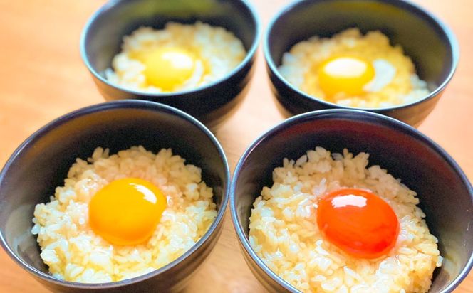 日本たまごかけごはん研究所公式醤油 200ml × 3本 計600ml 醤油 しょうゆ しょう油 調味料 卵かけご飯 たまごかけごはん TKG ご飯 白米 006-0006