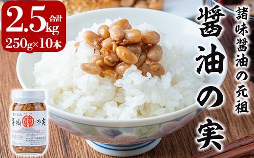 a756 醤油の実(2.5kg・250g×10本)【岩下醸造】国産 姶良市産 もろみ 諸味 ご飯のお供 おかず 大豆 発酵食品 常温 常温保存