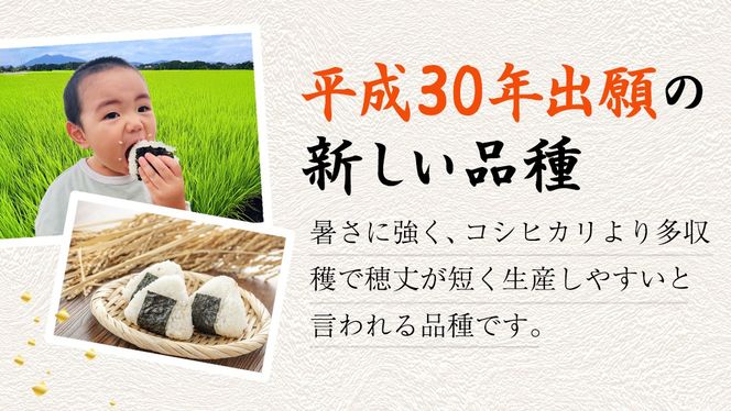 ＼ 選べる精米方法・内容量 ／ ＜ 新米 ＞ 令和7年産 茨城県産 にじのきらめき 5kg（精米 5kg・10kg / 玄米 5kg）【2025年9月下旬より発送開始】 国産 茨城産 茨城県産米 つくばみらい市 精米 お米 こめ おこめ ごはん ご飯 白飯 ゴハン 生活応援 ふるさと おすすめ  ツヤツヤ もっちり ふっくら 甘み 柔らかい 大粒 粘り 美味しい おいしい おむすび お弁当 和食 お取り寄せ 防災 備蓄