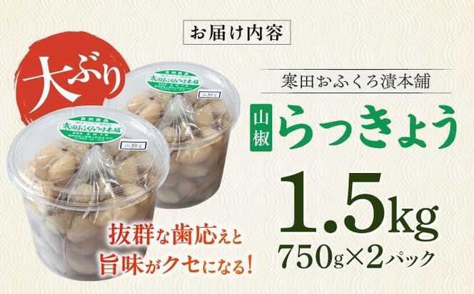 【8月発送予約】らっきょう 1.5kg（山椒）　《築上町》【寒田おふくろ漬本舗】[ABDO004]