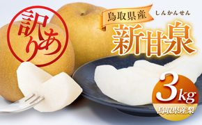 954.【先行予約】【訳あり】新甘泉 3kg　【梨・なし】≪梨 なし ナシ 果物 フルーツ くだもの 鳥取県北栄町≫※8月下旬頃～9月中旬頃に順次発送 313726_AN002