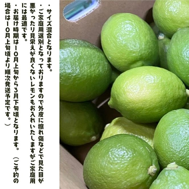 【先行予約】紀州 和歌山 ご家庭用 有田 レモン 3kg+200g(傷み補償分)【防腐剤・ワックス不使用】 / 檸檬 くだもの 果実 柑橘 ※2026年９月下旬～2027年2月上旬頃に順次発送 ※北海道・沖縄・その他離島地域は発送不可【ard040-c-3A】