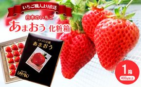 いちご 1月配送 しあわせもん あまおう 化粧箱 1箱 いちご職人 白木のいちご イチゴ 苺 果物 デザート ※配送不可：沖縄・離島