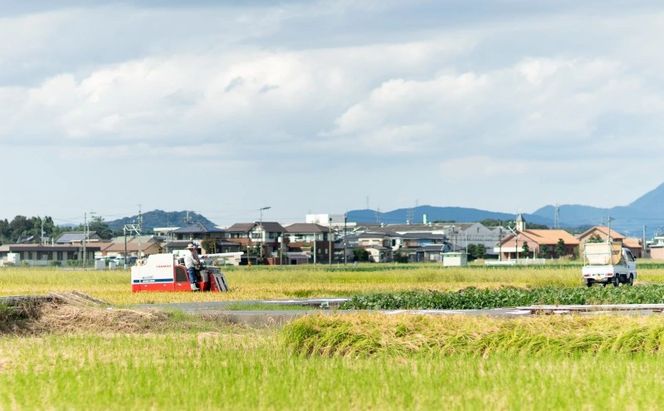 【ポスト投函】 福岡有明海産 焼き海苔 全形10枚 海苔 焼海苔 のり