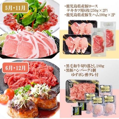 定期便(6回)A5・A4等級黒毛和牛・黒豚etc FF-0061 【1166779】