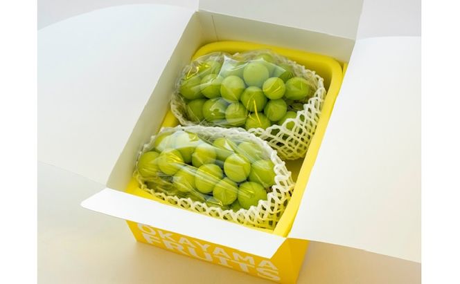 ぶどう 2026年 先行予約 ご家庭用 シャイン マスカット 2～3房 合計約1.2kg ブドウ 葡萄  岡山県産 国産 フルーツ 果物 ギフト