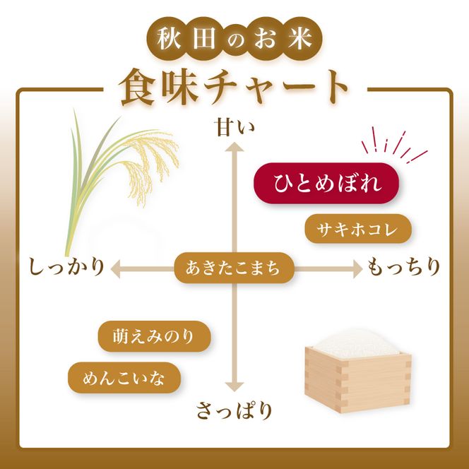 【ふるプレ限定品】【新米先行予約】【2026年10月以降順次発送予定】《定期便3ヵ月》ひとめぼれ 令和8年度産 精米5kg【精米 白米 米 コメ お米 おこめ ブランド米 ご飯 ごはん 秋田 にかほ】