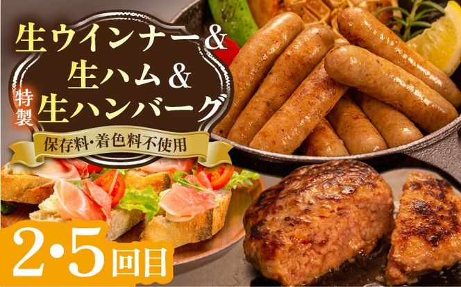 【全6回定期便】 ウインナー / ハンバーグ / ハム 月替り セット 糸島市 / 志摩スモークハウス 生ハム ベーコン [AOA039] 定期便 生 ウインナー ソーセージ ハンバーグ お肉