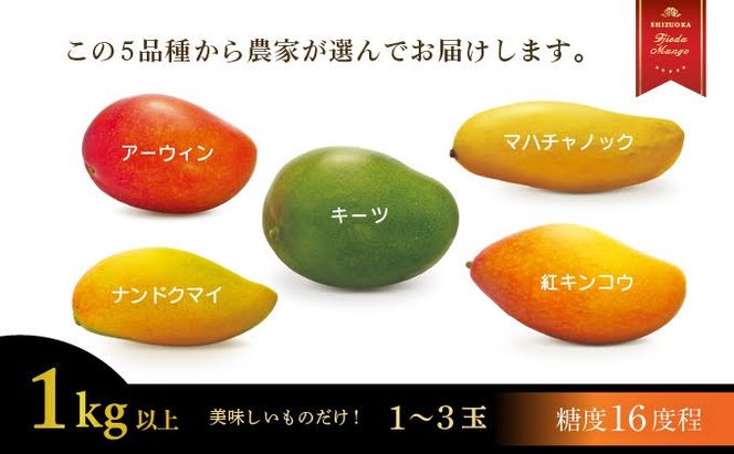 【選べる容量】完熟マンゴー 1～2kg 糖度約16度程 厳選 フルーツ 果物 国産 数量限定 マンゴー トロピカル フルーツ アーウィン マハチャノック ナンドクマイ 紅キンコウ キーツ 静岡県 藤枝市 