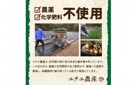 【先行予約】京都 丹後産 甘い有機玉ねぎ 10キロ【有機JAS取得】（2026年6月上旬～発送）　DE00140