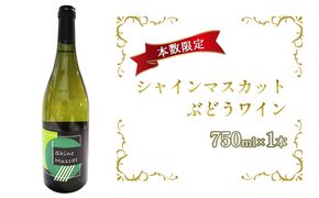 シャインマスカットぶどうワイン 750ml×1本 白ワイン お酒 シャインマスカット種 酒 アルコール 