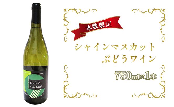 シャインマスカットぶどうワイン 750ml×1本 白ワイン お酒 シャインマスカット種 酒 アルコール 