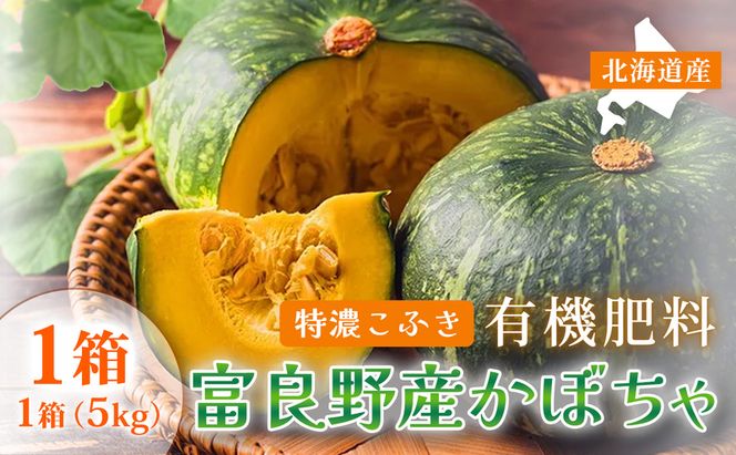 【秋の味覚 北海道産 カボチャ】特濃こふき 無選別 5kg×1箱｜北海道富良野市 9～10月発送 野菜 しっとり ホクホク 濃厚 甘い 濃橙果肉 黒皮カボチャ かぼちゃ こふきかぼちゃ 南瓜 料理用 煮物 贈答用 秋季限定