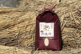 令和8年産 特別栽培米コシヒカリ 丹後椿（京丹後森本産） 2kg【定期便3回】 ご飯 ごはん おにぎり お弁当 おいしい コメ コシヒカリ 新米 こうのとり コウノトリ 米 生産者応援 農家応援　AG00028
