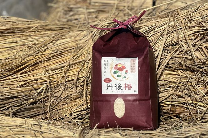 令和8年産 特別栽培米コシヒカリ 丹後椿（京丹後森本産） 2kg【定期便3回】 ご飯 ごはん おにぎり お弁当 おいしい コメ コシヒカリ 新米 こうのとり コウノトリ 米 生産者応援 農家応援　AG00028
