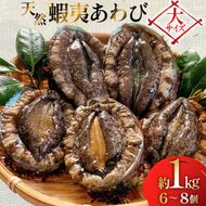 アワビ 鮑 天然 蝦夷あわび パック 約1kg [たみこの海パック 宮城県 南三陸町 m304amh560080] 冷凍 セット 高級 豪華 海鮮