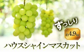 【8月31日（夏休み）までの期間限定価格!!】ハウスシャインマスカット　ずっしり　約4.9kg