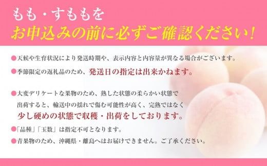 【2025年発送分 先行予約】【朝採れももを直送！】【7月以降発送予定】フルーツ王国やまなし 小林農園の桃（6〜9個入り/3kg前後）桃 モモ もも ピーチ 3kg フルーツ 果物 山梨 富士川町 大玉 甘い 夢みずき 浅間白桃 なつっこ 川中島白桃 一宮水蜜  白秋 先行予約