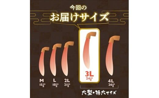 カット済み生ずわいがに 1kg（3Lサイズ）×2P_HD065-011