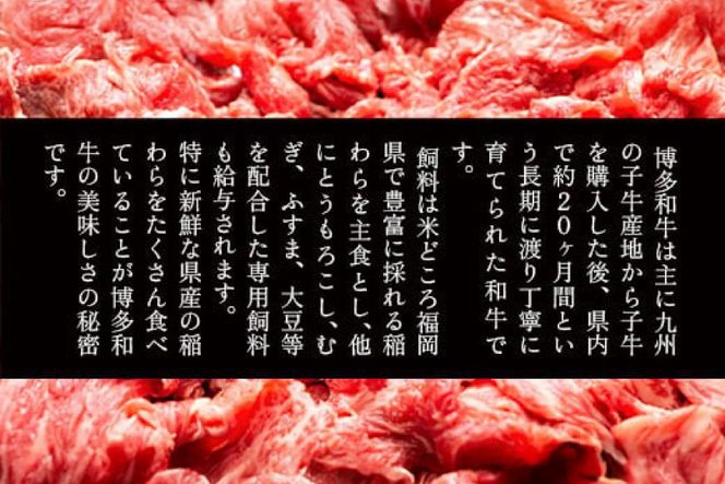 肉 博多和牛 切り落とし500g 3回 定期便 [MEAT PLUS 福岡県 宇美町 um40azp010063] ふるさと納税 牛肉 牛 肉 和牛 黒毛和牛 切落し 赤身 和牛 肩肉 牛肩 バラ肉 バラ 国産 冷凍