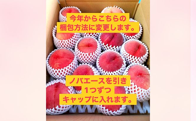 桃 先行予約 白鳳 約 3kg フルーツ 果物 夏 旬 旬の果物 旬のフルーツ 2026年 8月発送