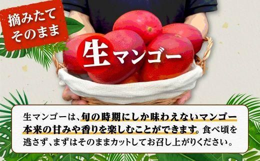 【訳あり】1kg 大崎完熟マンゴー「郷の恵（さとのめぐみ）」加工用マンゴー（糖度10度前後） 464686_BD007